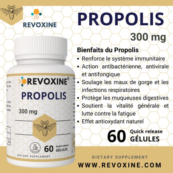 PROPOLIS 300 mg – Image 2
