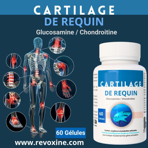 Cartilage de Requin 60 Gélules – Image 2